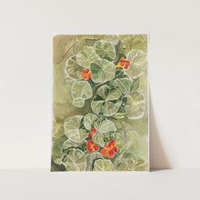 Load image into Gallery viewer, Nasturtium Tapestry PFY Art Print