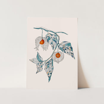 Chinese Lantern PFY Art Print