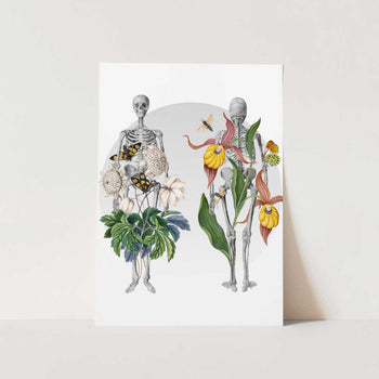 Botanical Anatomy PFY Art Print