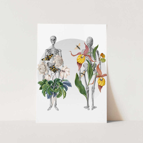 Botanical Anatomy PFY Art Print