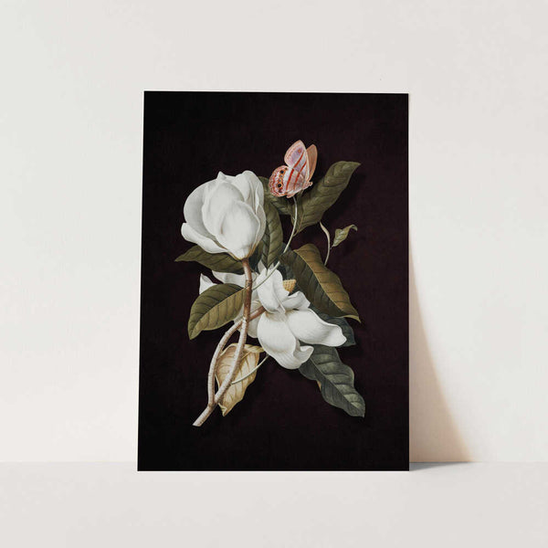 Magnolia Butterfly Bloom PFY Art Print