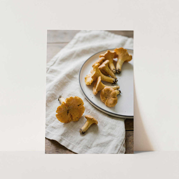 Chanterelle Mushrooms PFY Art Print