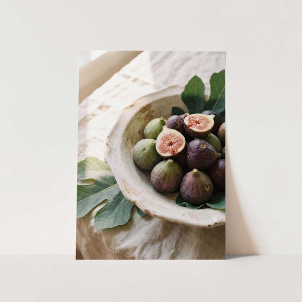 Figs In a Bowl PFY Art Print