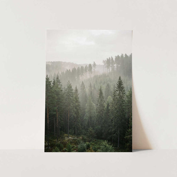 View From a Hill PFY Art Print