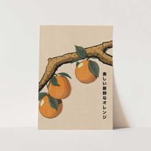 Load image into Gallery viewer, Beautiful Fresh Oranges PFY Art Print