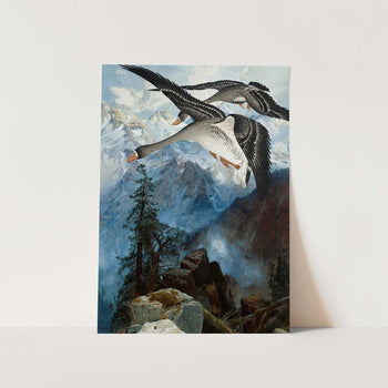Geese Over the Sierras PFY Art Print