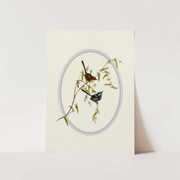 Serene Garden Birds PFY Art Print
