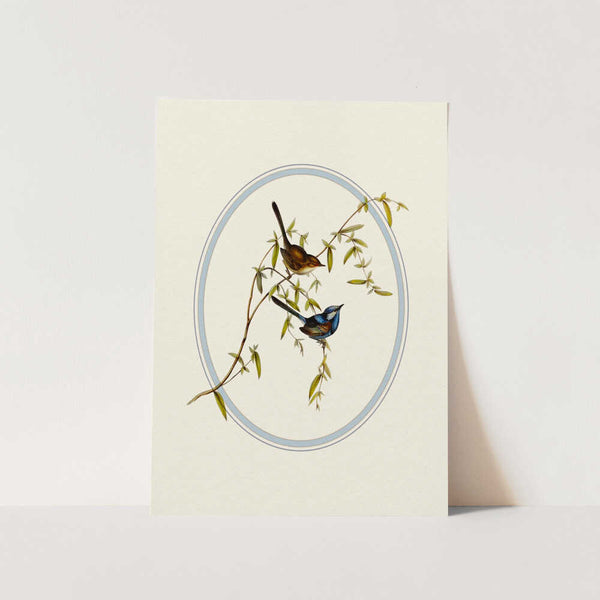 Serene Garden Birds PFY Art Print