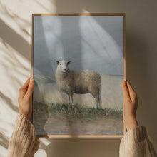 Load image into Gallery viewer, Sheep Study PFY Art Print