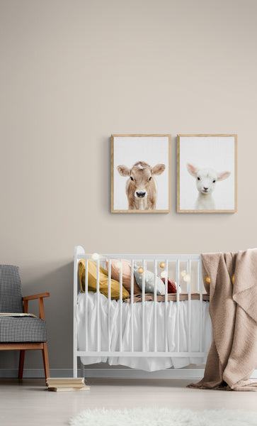 Peekaboo Baby Sheep PFY Art Print