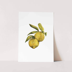 Two Lemons by Mareli Art Print