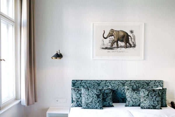 Asiatic Elephant Art Print framed white