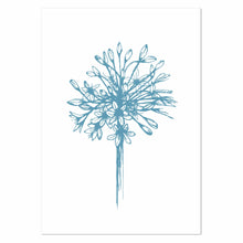 Load image into Gallery viewer, Agapanthus Silhouette Full Bloom Outline Art Print