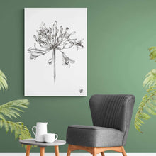 Load image into Gallery viewer, Agapanthus by Jenna Art Print