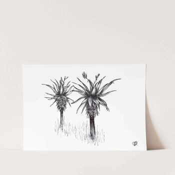 Aloe 4 by Jenna Art Print