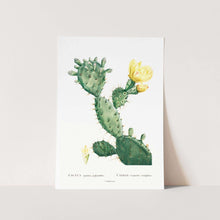 Load image into Gallery viewer, Aloe Opuntia Polyanthos Art Print