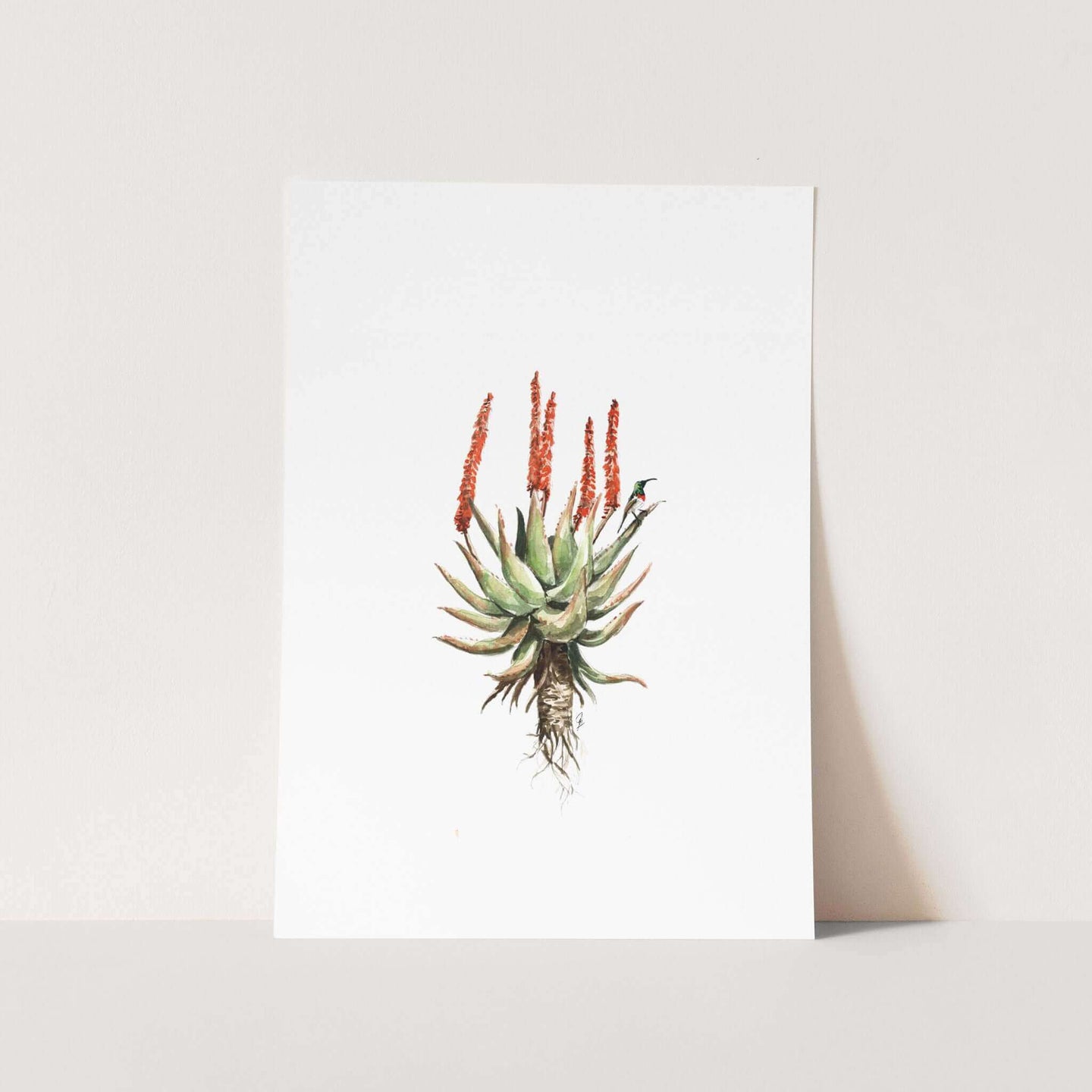 Aloe & Sunbird Art Print