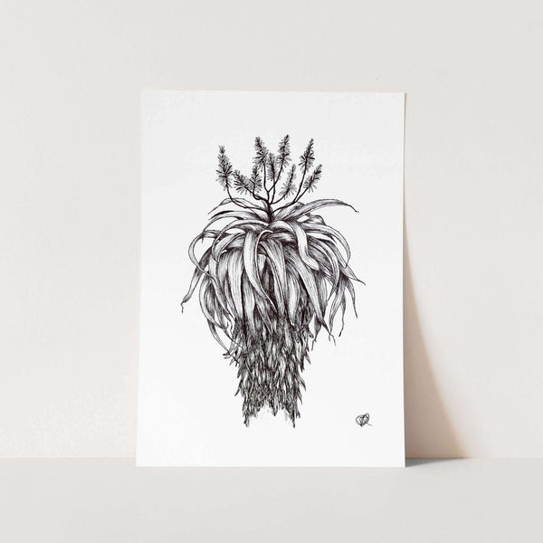 Aloe by Jenna Art Print