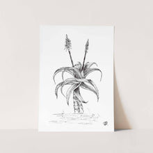 Load image into Gallery viewer, Aloe with 2 Flowers by Jenna Art Print