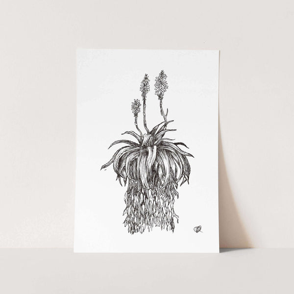 Aloe 2 by Jenna Art Print