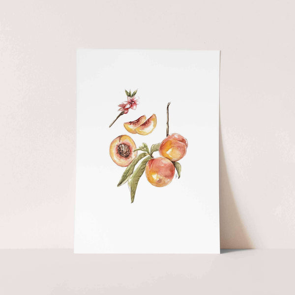 Apricot Art Print