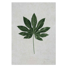 Load image into Gallery viewer, Aralia Leaf by Sonjé Art Print