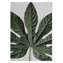 Load image into Gallery viewer, Aralia Zoomed by Sonjé Art Print