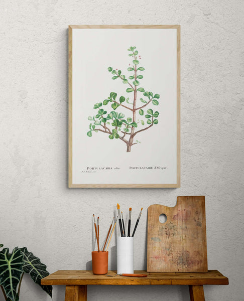 Elephant Bush Art Print
