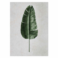 Load image into Gallery viewer, Banana Leaf by Sonjé Art Print