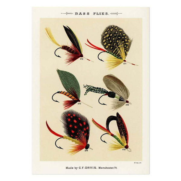 Bass Flies 2 Art Print
