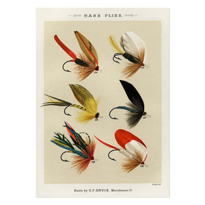 Bass Flies 3 Art Print