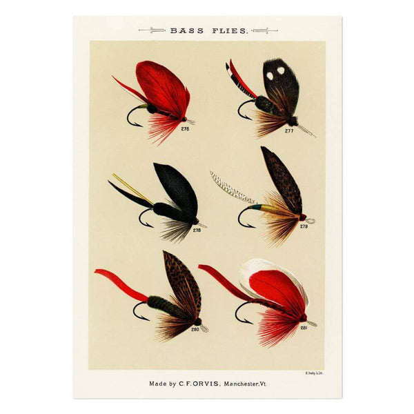 Bass Flies 5 Art Print