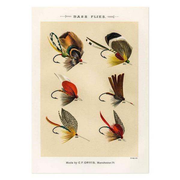Bass Flies 6 Art Print