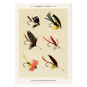 Bass Flies 8 Art Print