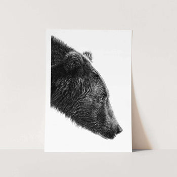 Bear Focus PFY Art Print