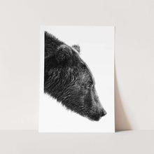 Load image into Gallery viewer, Bear Focus PFY Art Print