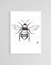 Load image into Gallery viewer, B &amp; W Bee by Jenna Art Print