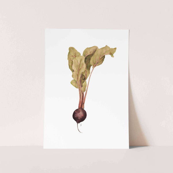 Beetroot Art Print