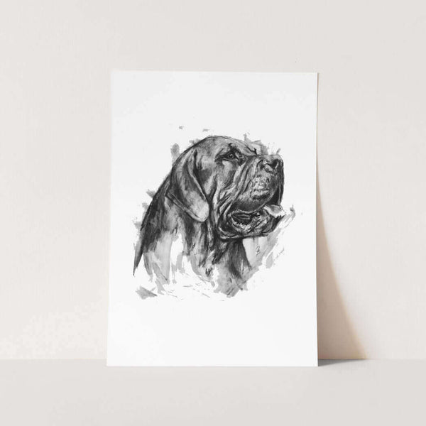 Boerboel Art Print