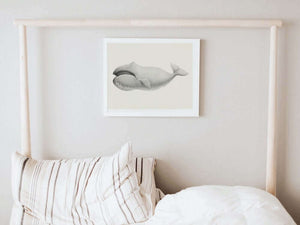 Bowhead whale art print white frame