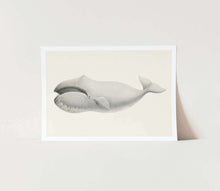 Load image into Gallery viewer, Bowhead whale art print