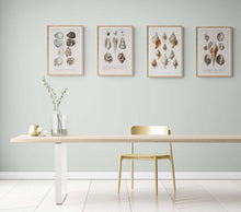 Load image into Gallery viewer, Mollusks 3 Art Print