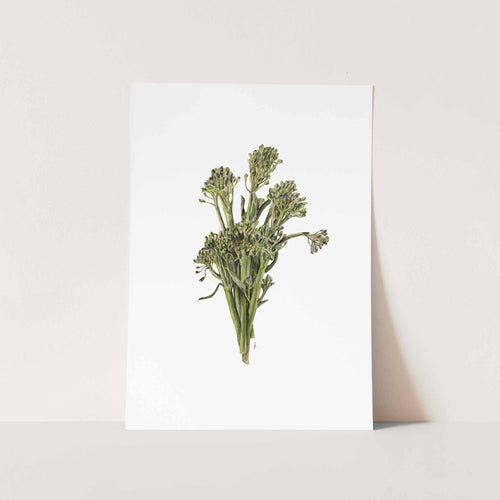 Broccoli Art Print