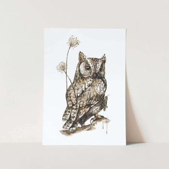 Brown Owl by Mareli Art Print