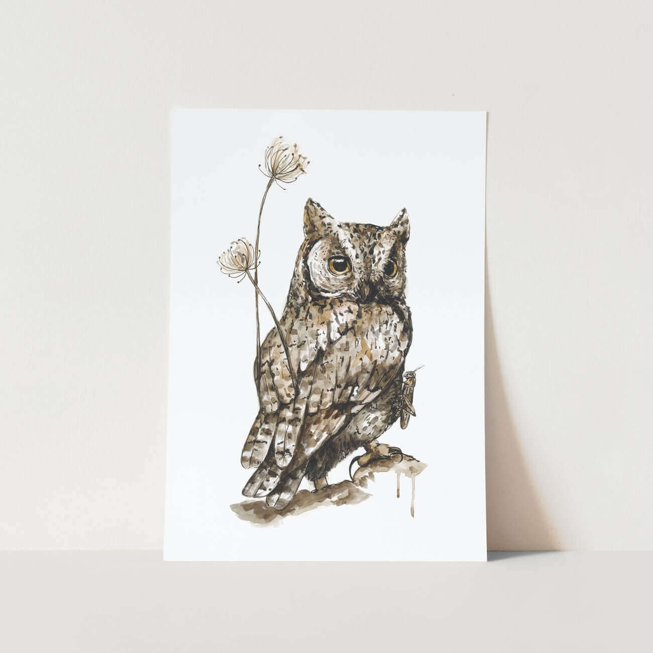 Brown Owl by Mareli Art Print