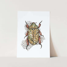 Load image into Gallery viewer, Bug 2 by Mareli Art Print