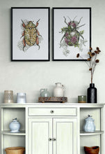 Load image into Gallery viewer, Bug 2 by Mareli Art Print