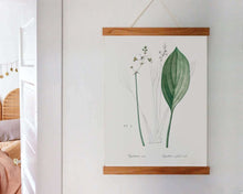 Load image into Gallery viewer, Bulltongue arrowhead plant poster in frame