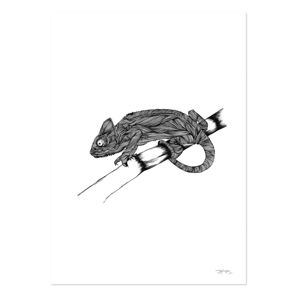 Chameleon by JMB Art Print