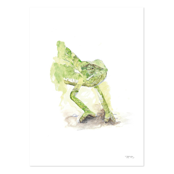 Watercolour Chameleon by JMB Art Print